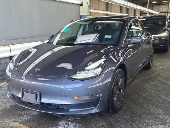 TESLA MODEL 3 2023 5YJ3E1EB1PF715301 image